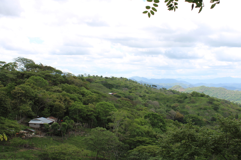 Proyecto CAPS Nicaragua