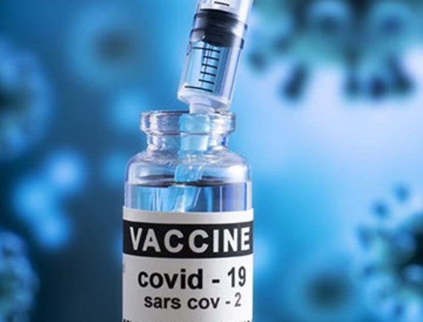 vacuna 2